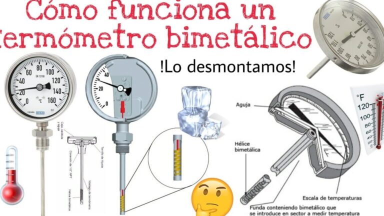 Guía completa sobre termómetros de laboratorio: tipos, usos y recomendaciones